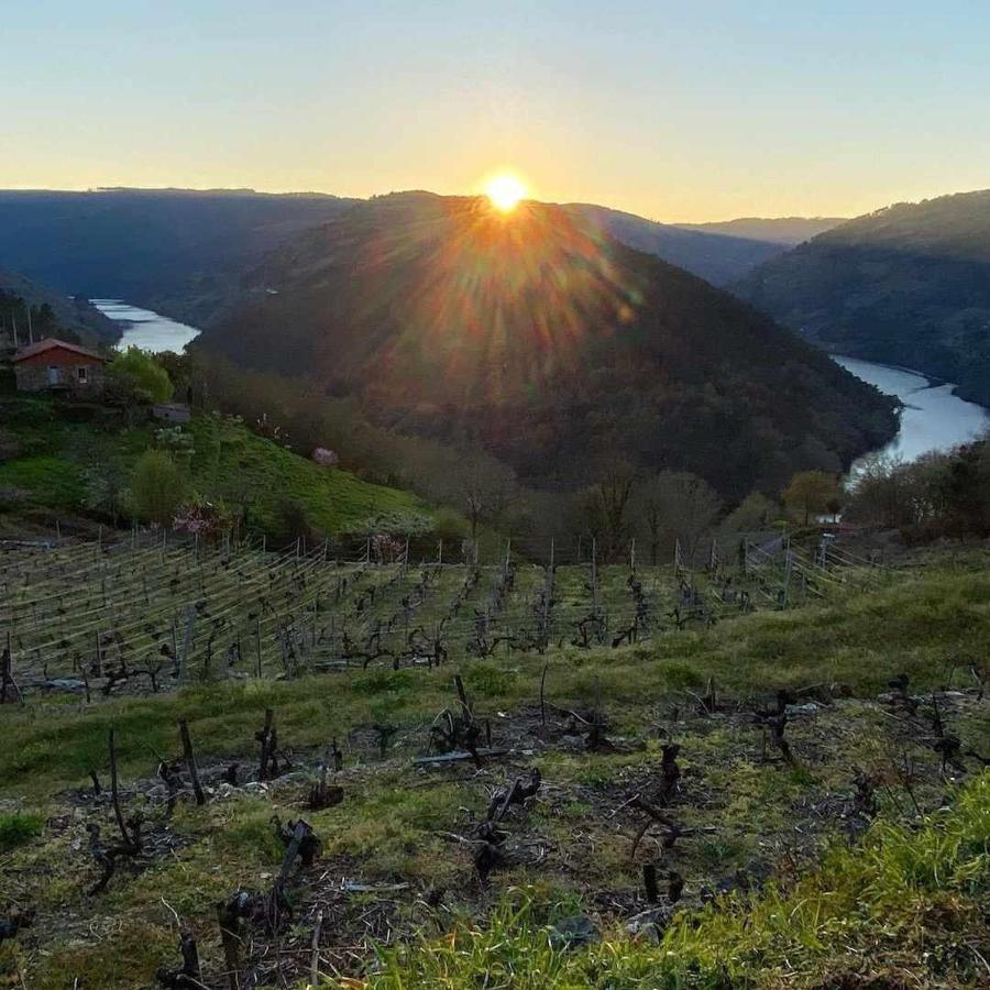 Casa Das Xacias Ribeira Sacra 아 아이로아 외부 사진