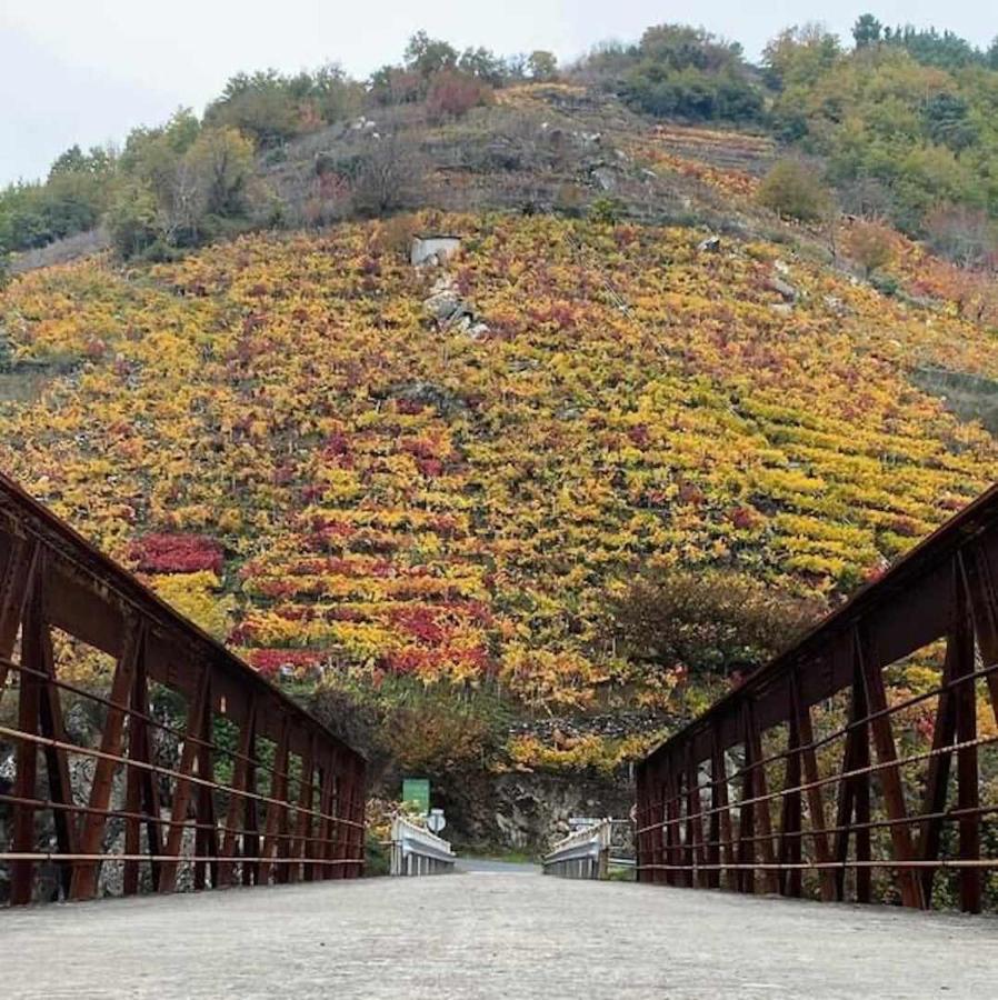 Casa Das Xacias Ribeira Sacra 아 아이로아 외부 사진